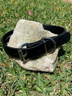 Champ BioThane 1 Inch Buckle Collar - 20, 22, 24